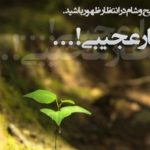 چرا امام زمان (علیه السلام) در غیبت ­اند